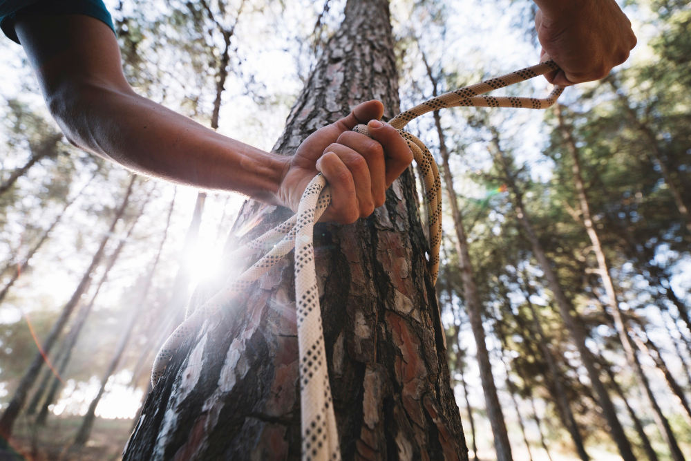 Démontage d'arbre par rétention